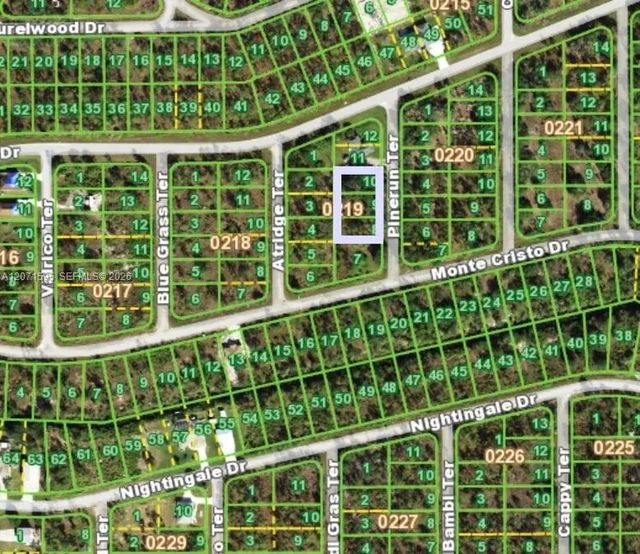 3 of 3 - 13263 Pinerun Terrace, Punta Gorda, FL