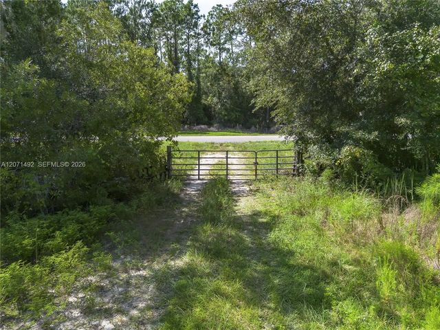1369 Water Oak, 