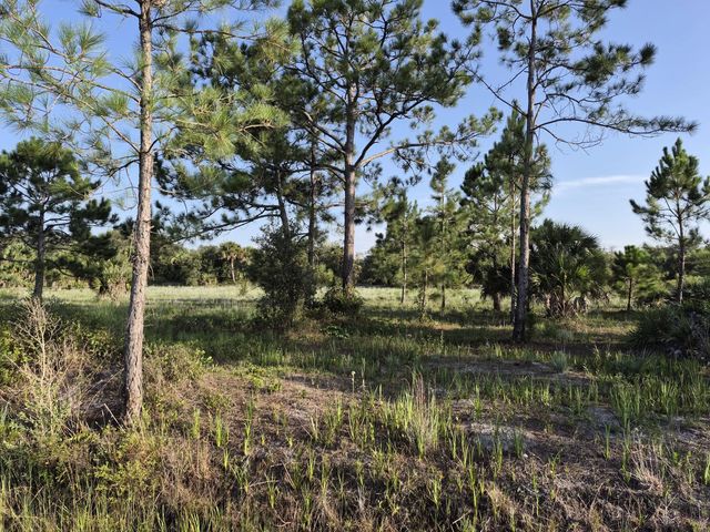 2 of 11 - 16810 Nw 292nd Street, Okeechobee, FL