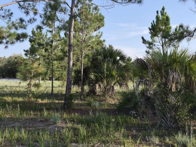 4 of 11 - 16810 Nw 292nd Street, Okeechobee, FL