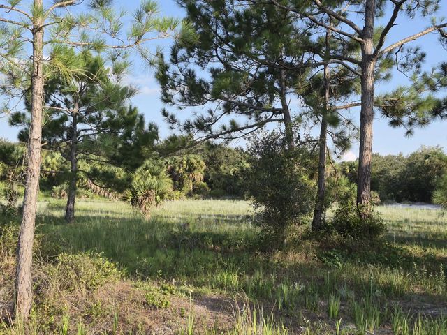 5 of 11 - 16810 Nw 292nd Street, Okeechobee, FL