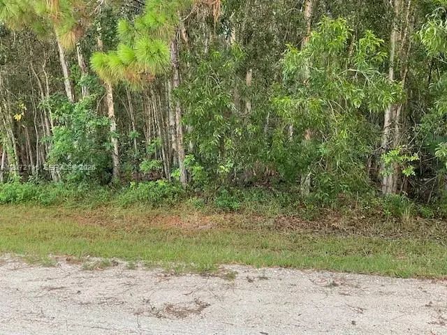 82nd Street N, Palm Beach