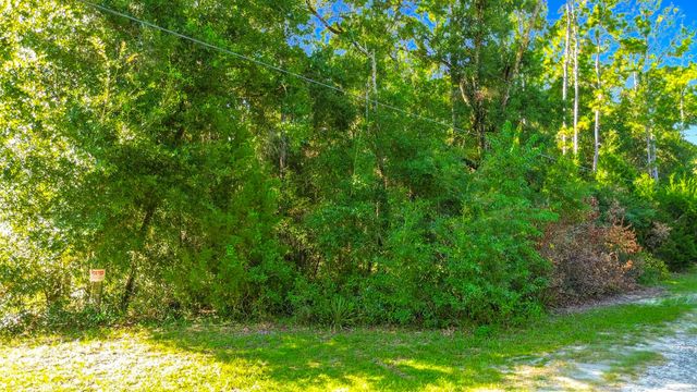 4 of 6 - 7824 W Ox Eye Place, Homosassa, FL