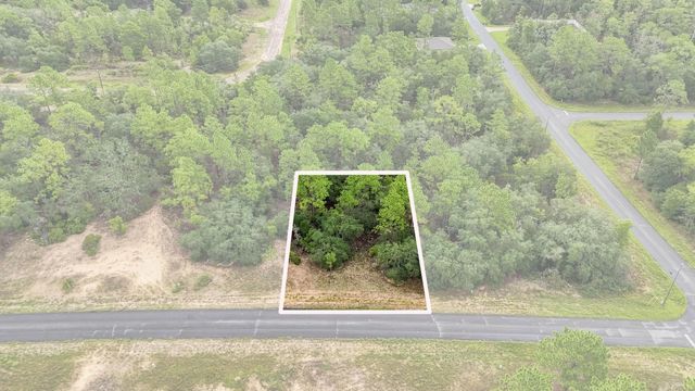 6599 N Airmont Drive, Dunnellon