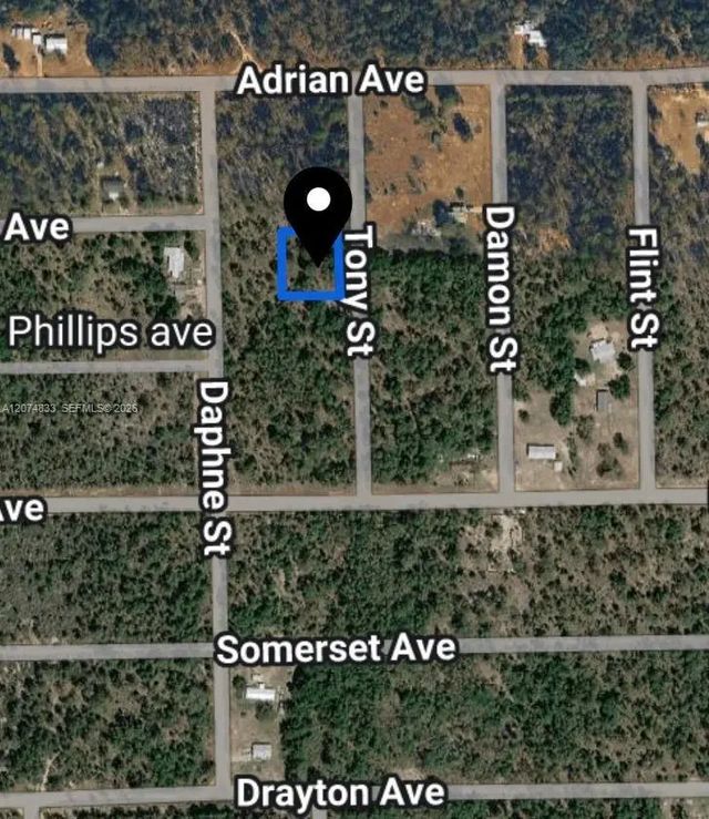 2 of 2 - 0 Toby Street, Palatka, FL