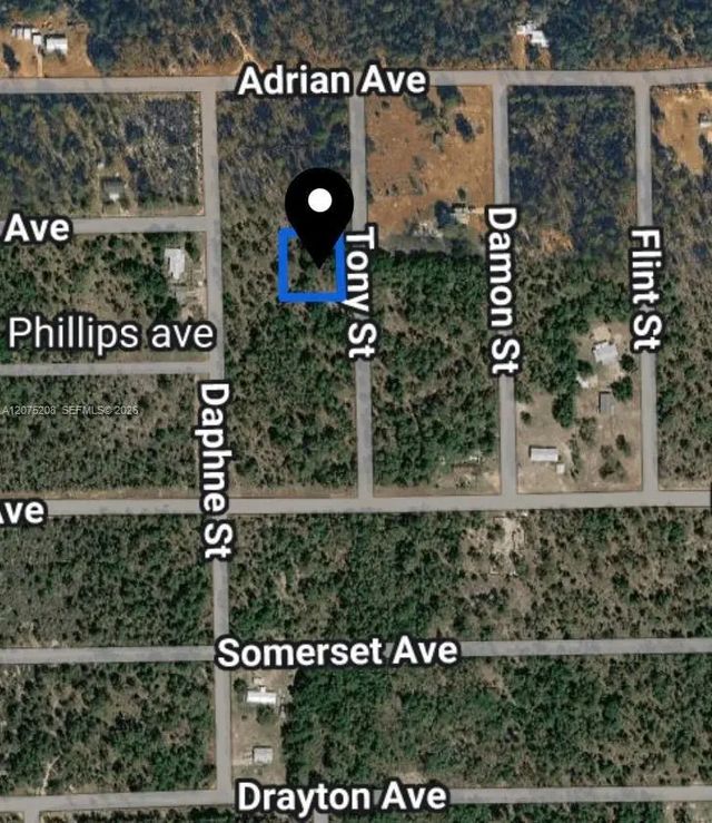 2 of 2 - 0 Toby Street, Palatka, FL