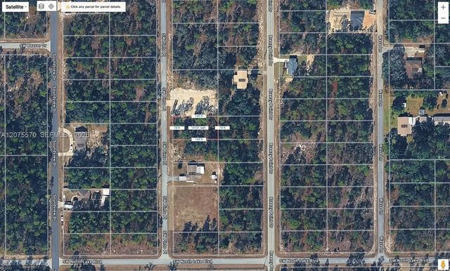 4 of 7 - 00 Sw Pinto Place, Ocala, FL