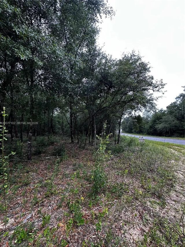 2 of 19 - 0000 Diane Place, , FL