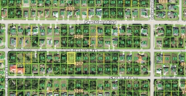 22443 Bradford Avenue, Port Charlotte