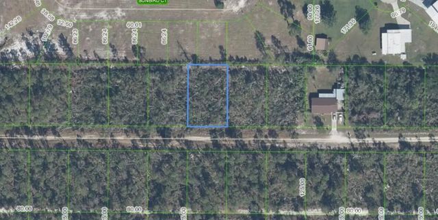 436 Nightingale Avenue, Sebring