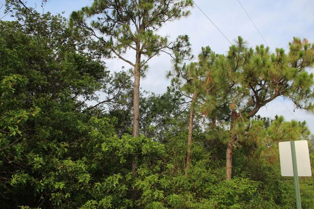 5 of 12 - "17992" 94th Street N, Loxahatchee, FL
