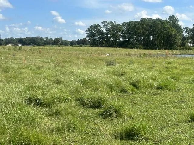 2 of 4 - Tbd Mose Grade Road, Okeechobee, FL