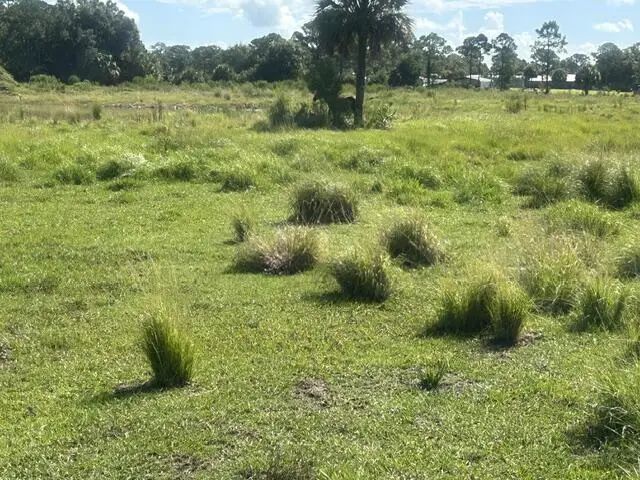 3 of 4 - Tbd Mose Grade Road, Okeechobee, FL