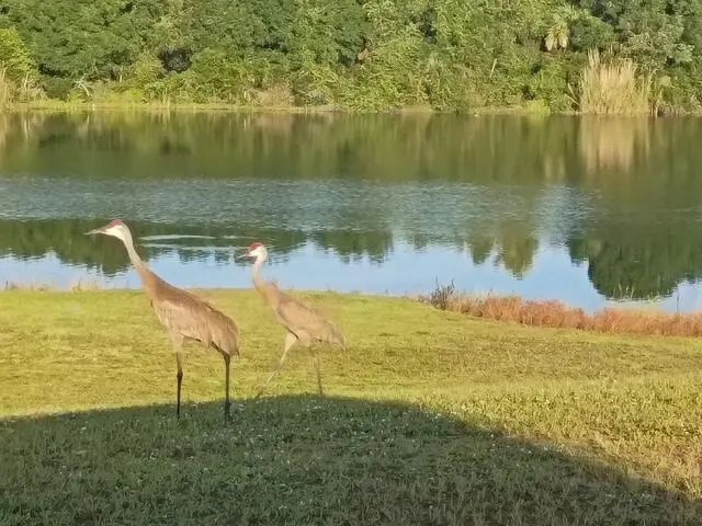 3 of 20 - 20020 Nw 80th Drive, Okeechobee, FL