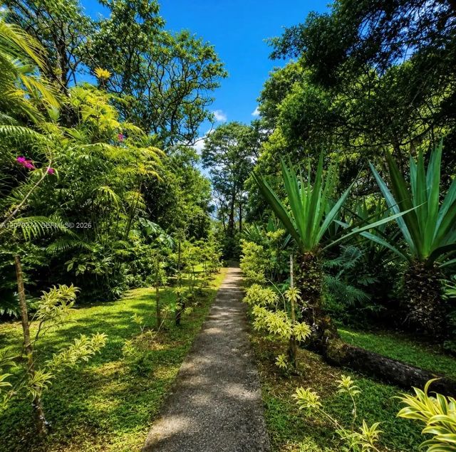 3 of 48 - Cartago, , 