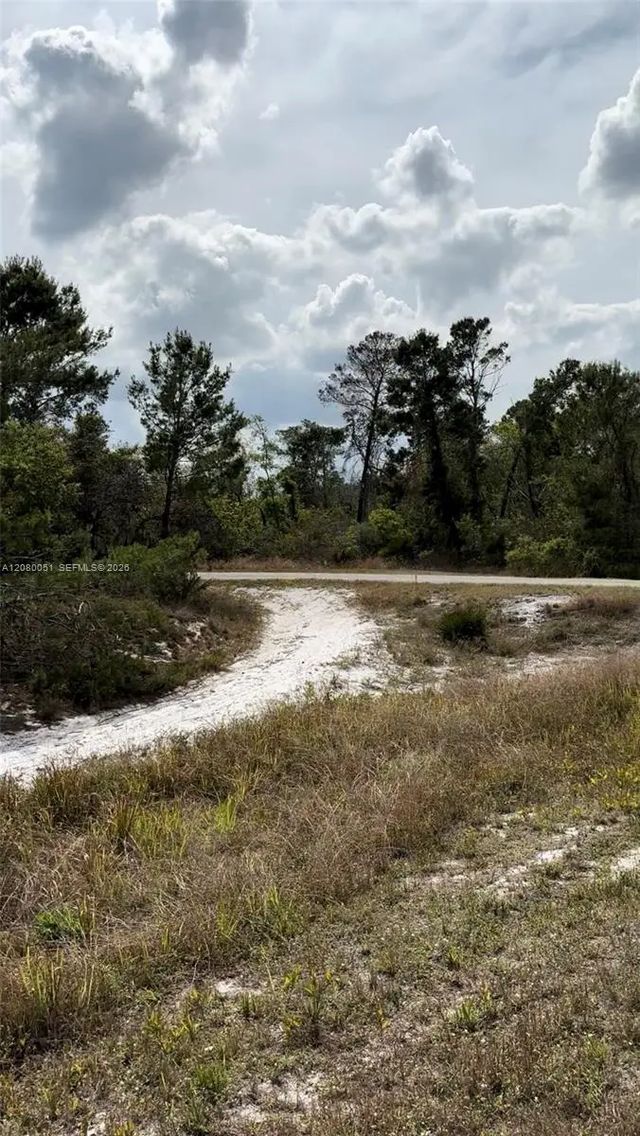 3 of 7 - 1215 Aleutian Street Ne, Lake Placid, FL