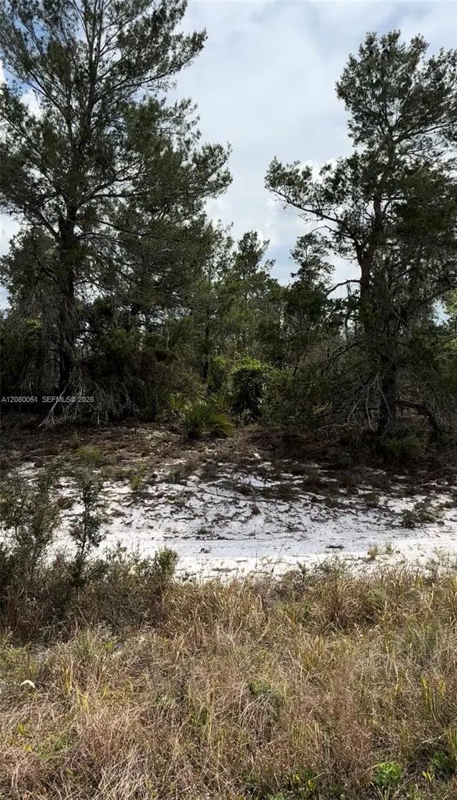 4 of 7 - 1215 Aleutian Street Ne, Lake Placid, FL