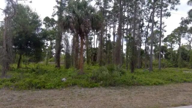 4 of 4 - 1234 Count Street E, Lehigh Acres, FL