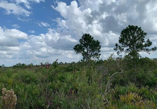 2 of 5 - 48341 Bermont Road, Punta Gorda, FL