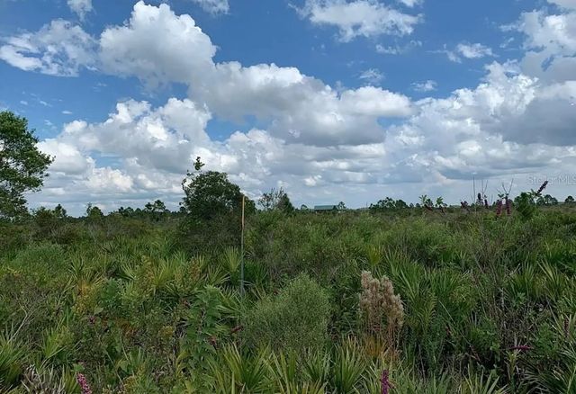 3 of 5 - 48341 Bermont Road, Punta Gorda, FL
