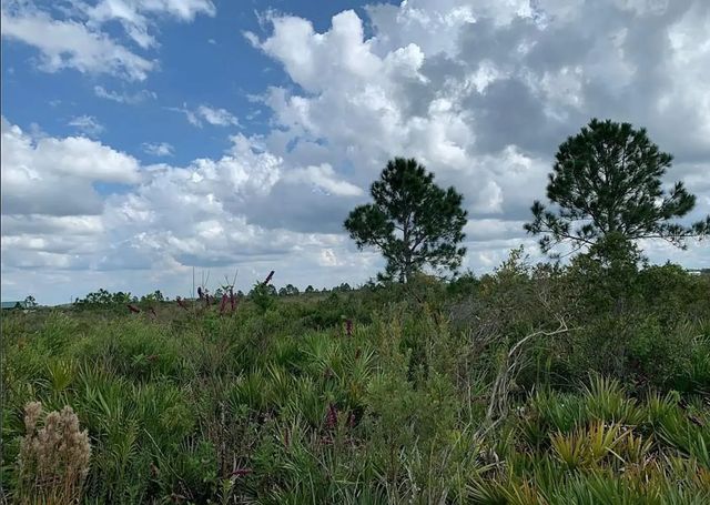 5 of 5 - 48341 Bermont Road, Punta Gorda, FL