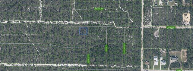 1307 Hyacinth Avenue, Sebring