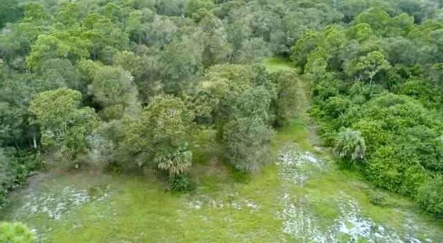 4 of 7 - 7061 Flaghole Road, Flaghole, FL