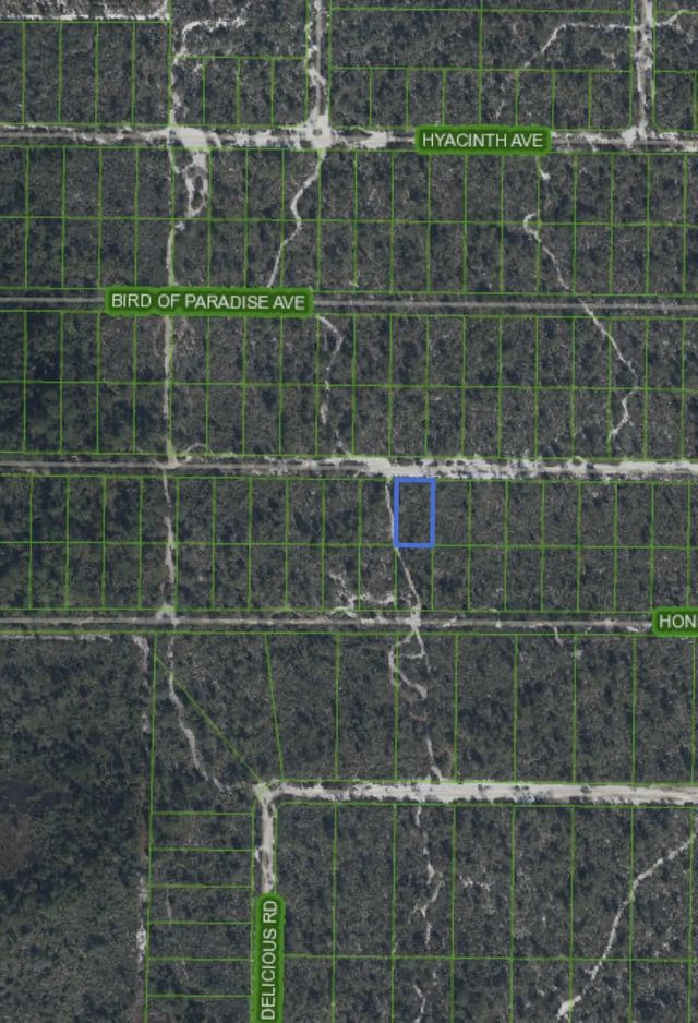 3 of 3 - 2221 Iris Avenue, Sebring, FL