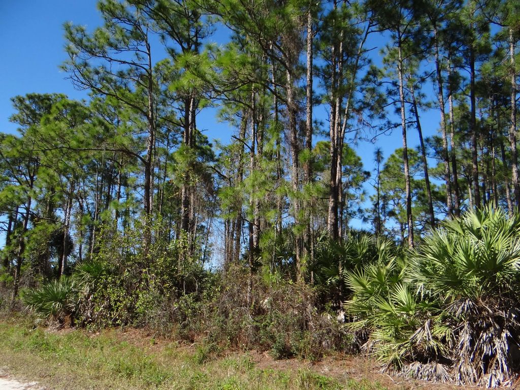L-28 N 67 Court N, The Acreage