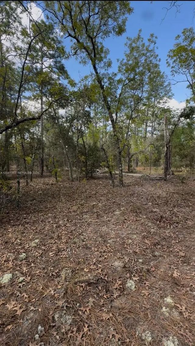 Sw Sw Indian Hill Drive, Ocala