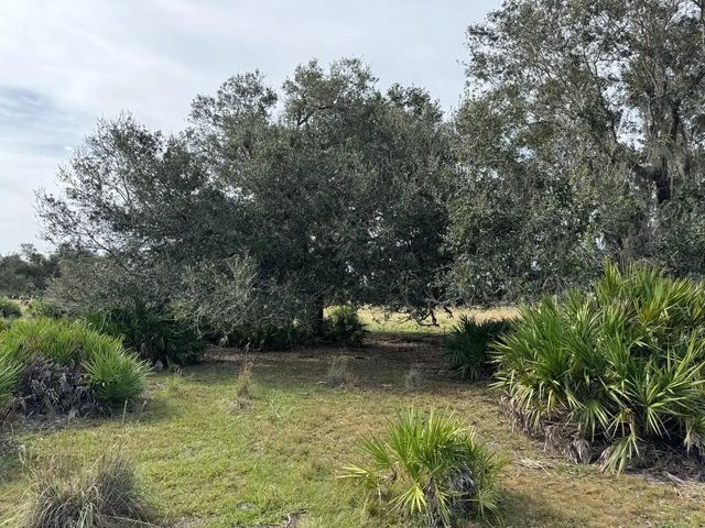5 of 6 - 101 Percheron Trail, Venus, FL