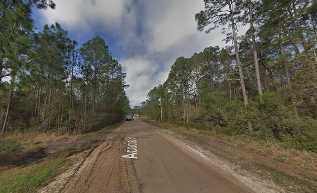 2 of 3 - 4818 Acacia Street, Middleburg, FL