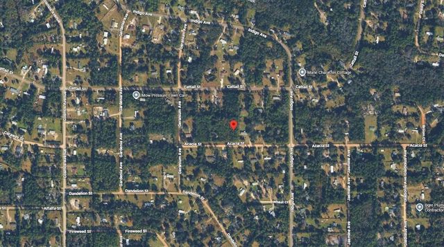 3 of 3 - 4818 Acacia Street, Middleburg, FL