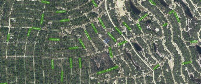 2 of 3 - 337 Summerdale Lane, Lake Placid, FL