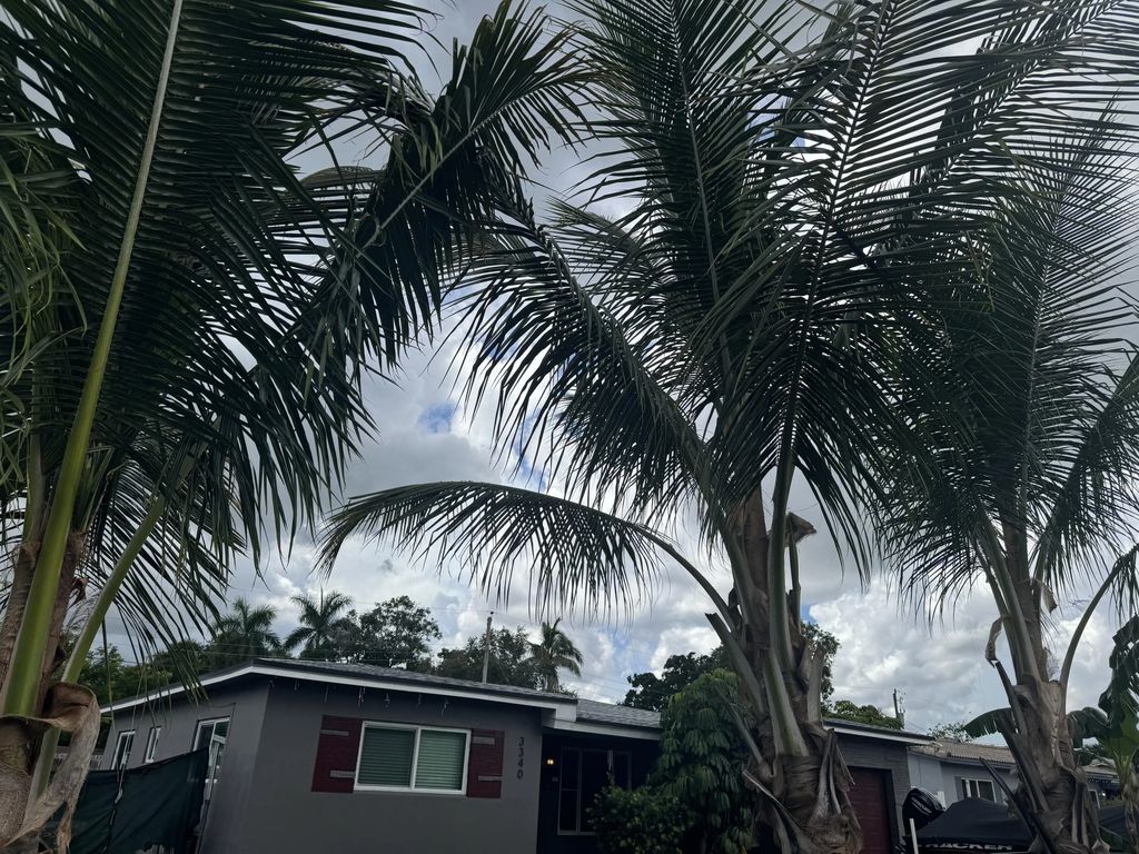 3340 Sw 20th Court, Fort Lauderdale
