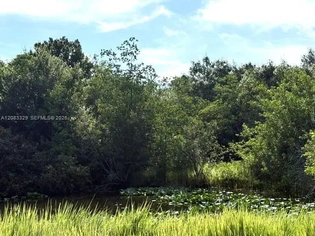 4 of 4 - 2524 Gem Stone Avenue, Lorida, FL