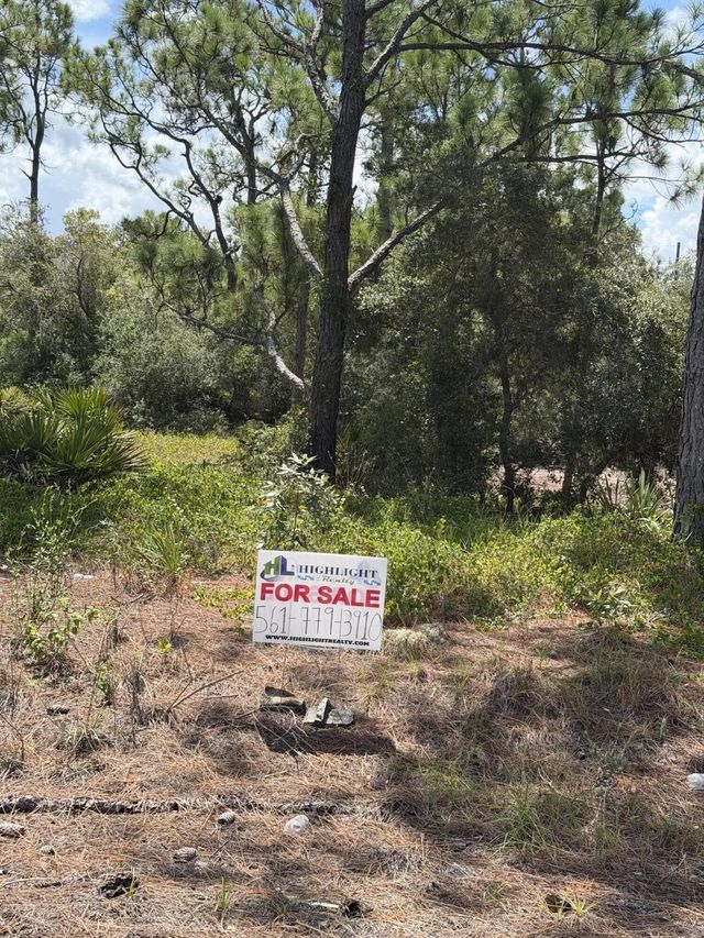 2 of 9 - 391 Marionette Avenue, Lake Placid, FL