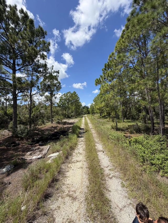 5 of 9 - 391 Marionette Avenue, Lake Placid, FL