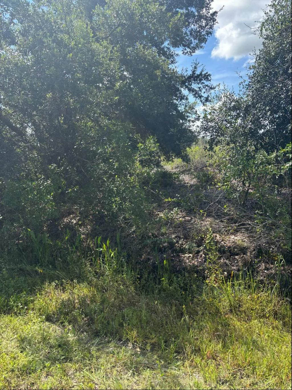 16014 Nw 282nd Street, Okeechobee
