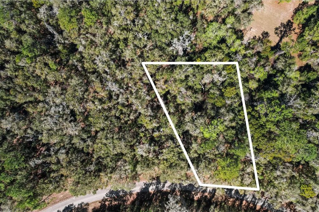 987 E Odin Drive, Dunnellon