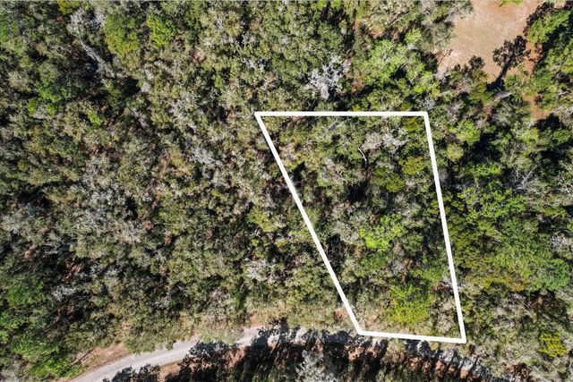 987 E Odin Drive, Dunnellon