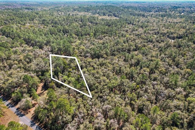 4 of 13 - 987 E Odin Drive, Dunnellon, FL