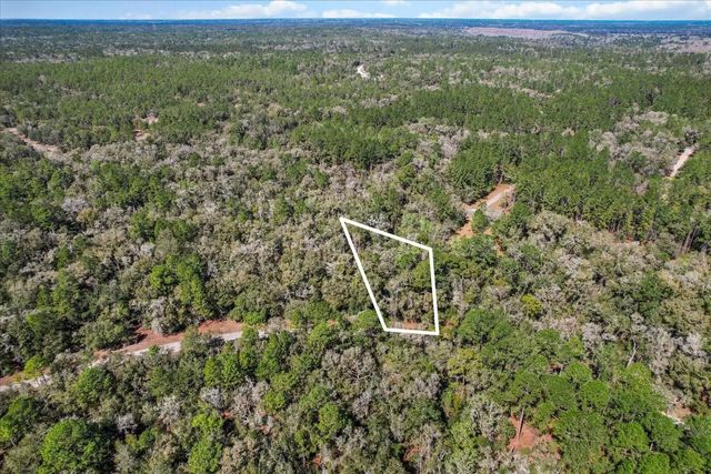 5 of 13 - 987 E Odin Drive, Dunnellon, FL
