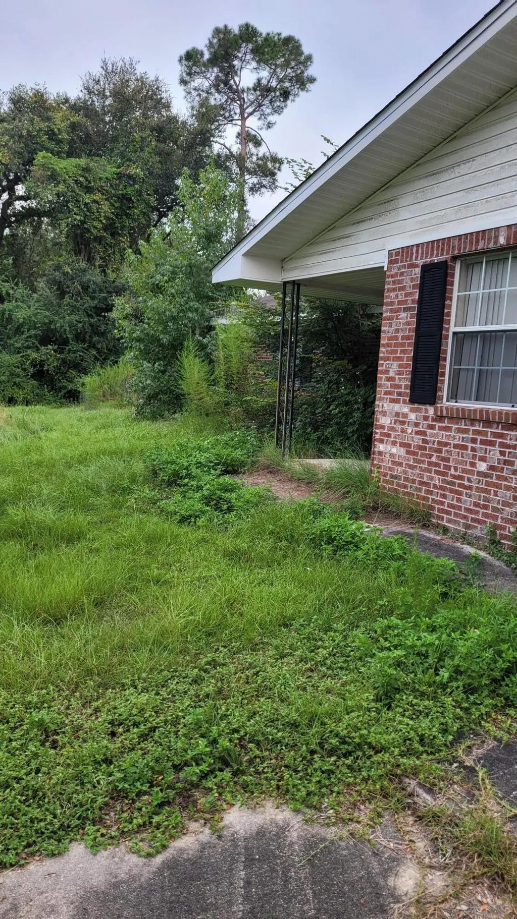 3335 Peanut Road, Cottondale