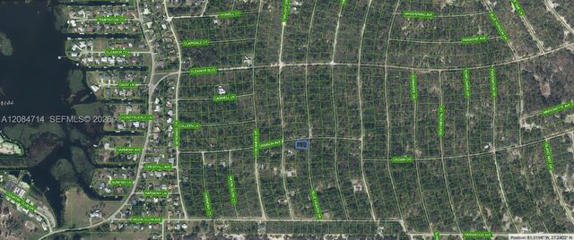 2 of 3 - 268 Blue Heaven Drive, Lake Placid, FL