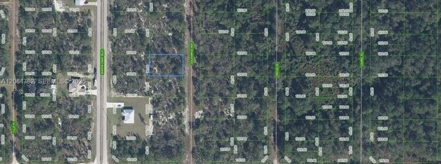 7019 Goldenrod Avenue, Sebring