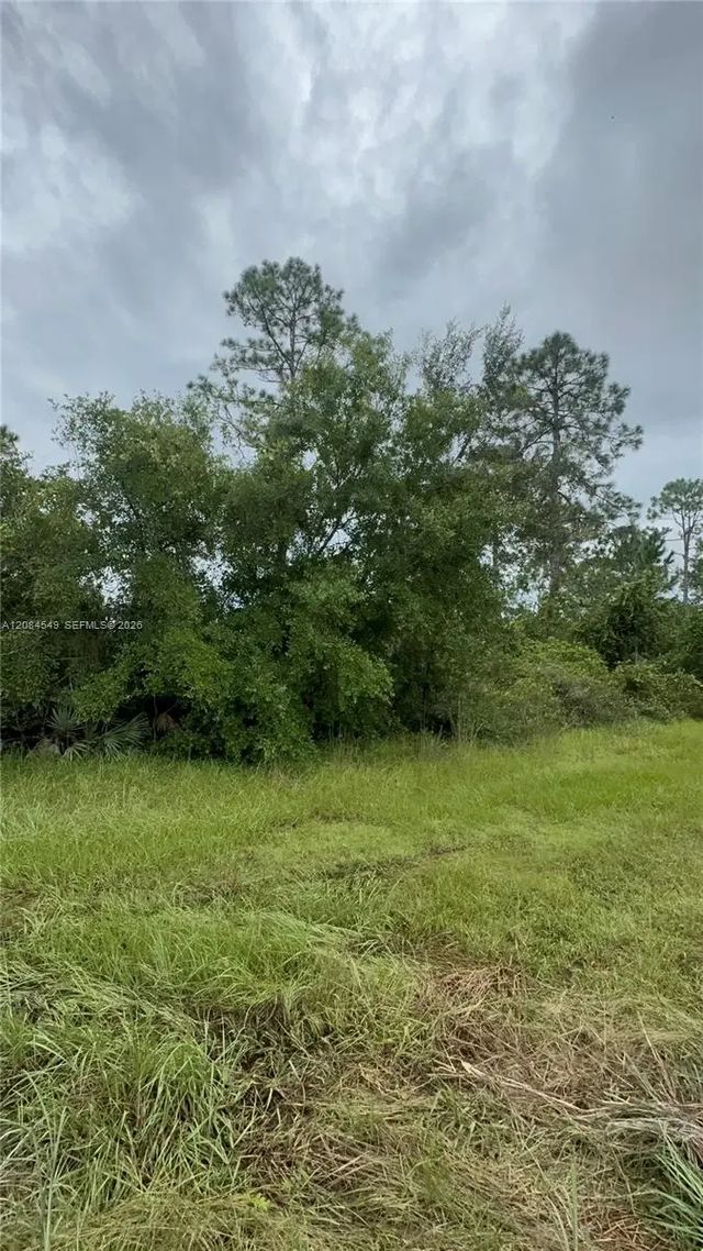 2 of 3 - 1345 Sable Palm, , FL