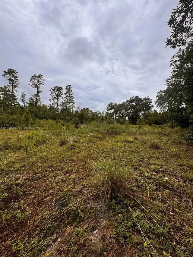 3 of 3 - 1345 Sable Palm, , FL