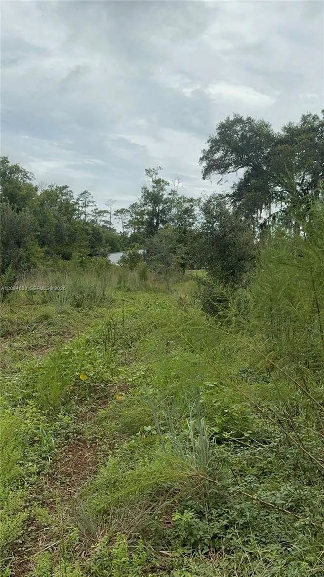 2 of 3 - 1219 Sable Palm, , FL