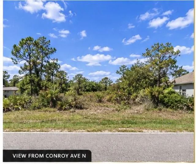 3 of 5 - 2413 Conroy Avenue N, Lehigh Acres, FL